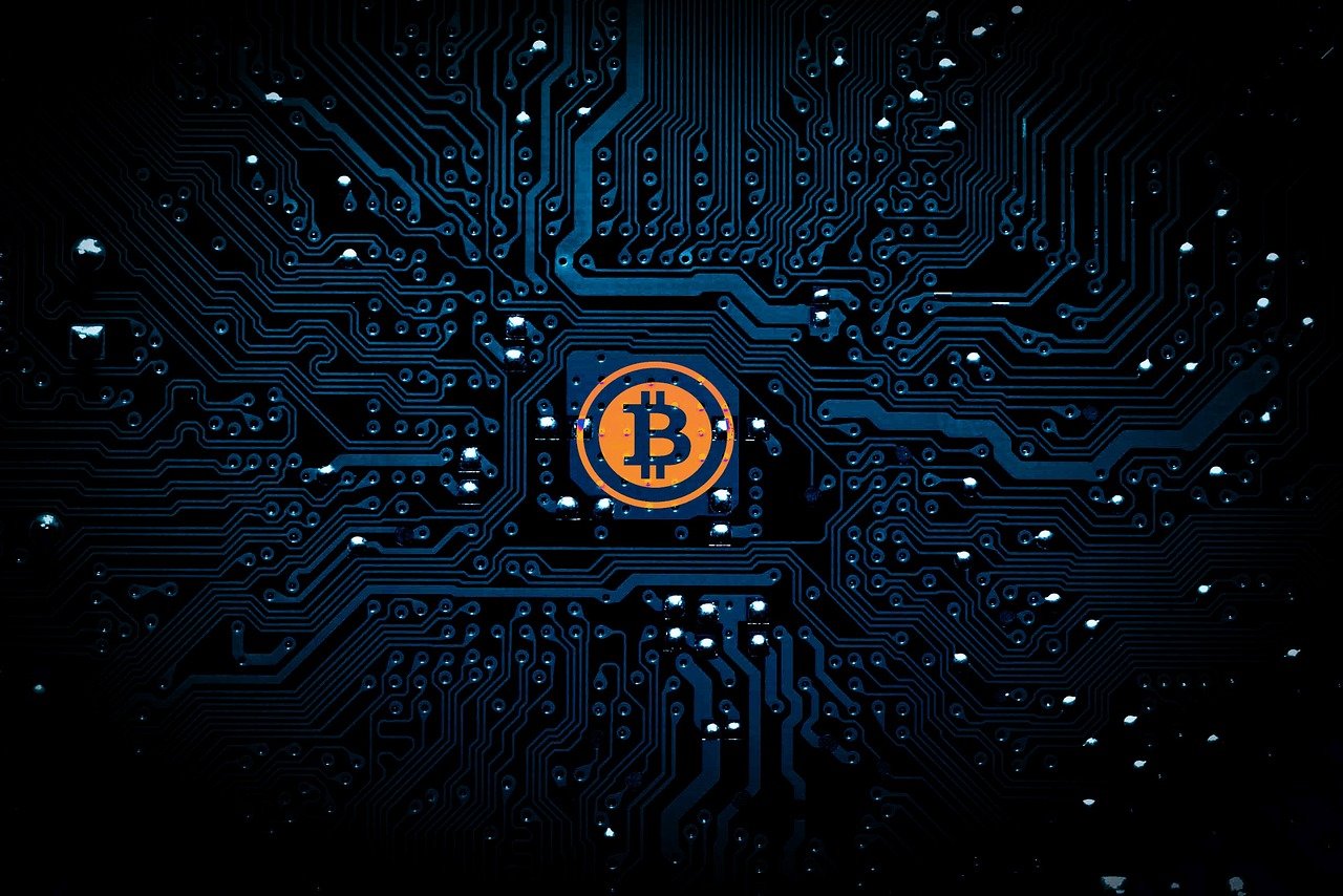 绾风者 第61页